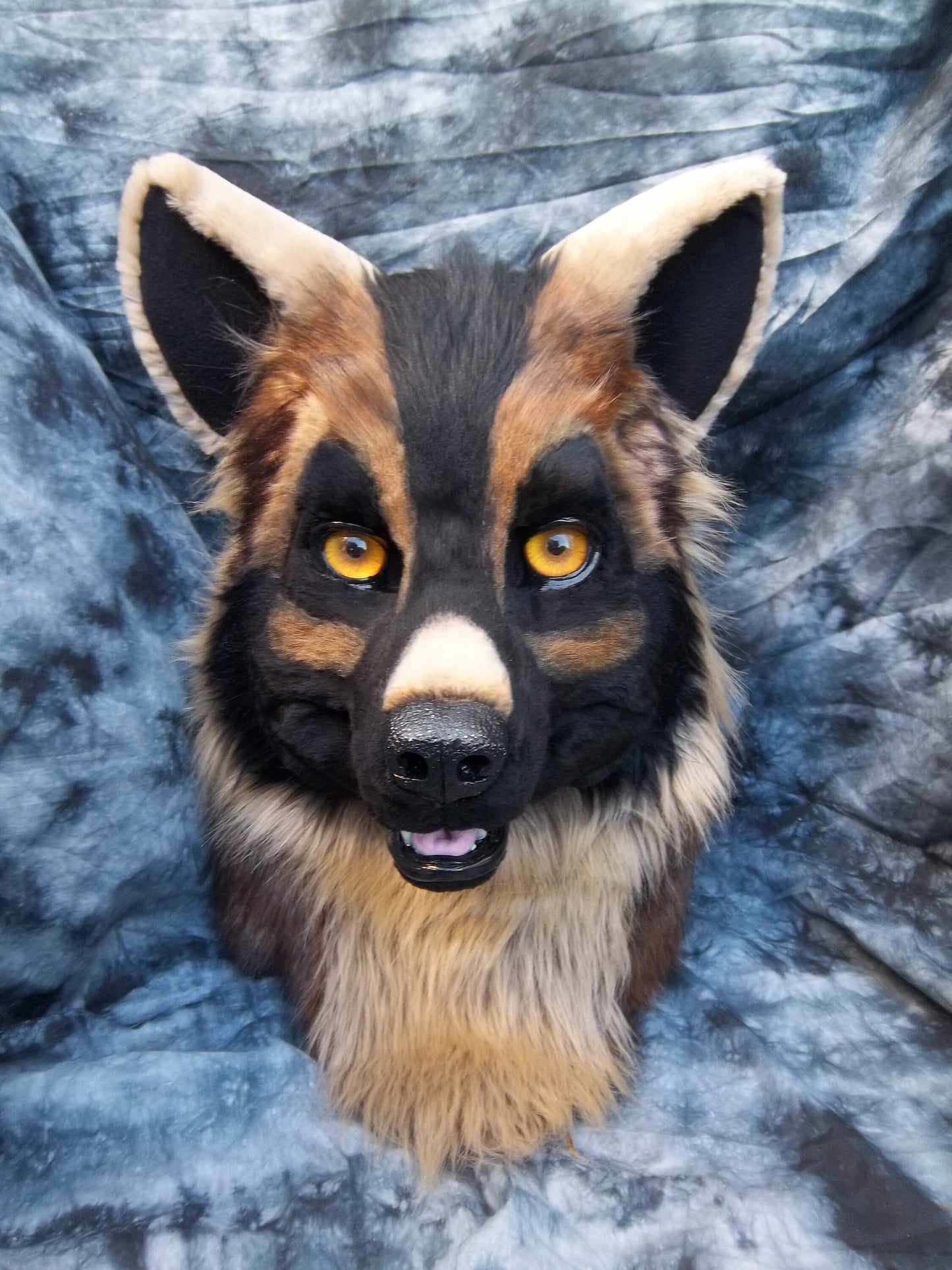 Realistic Canine Resin Mask MOLD (not a base)