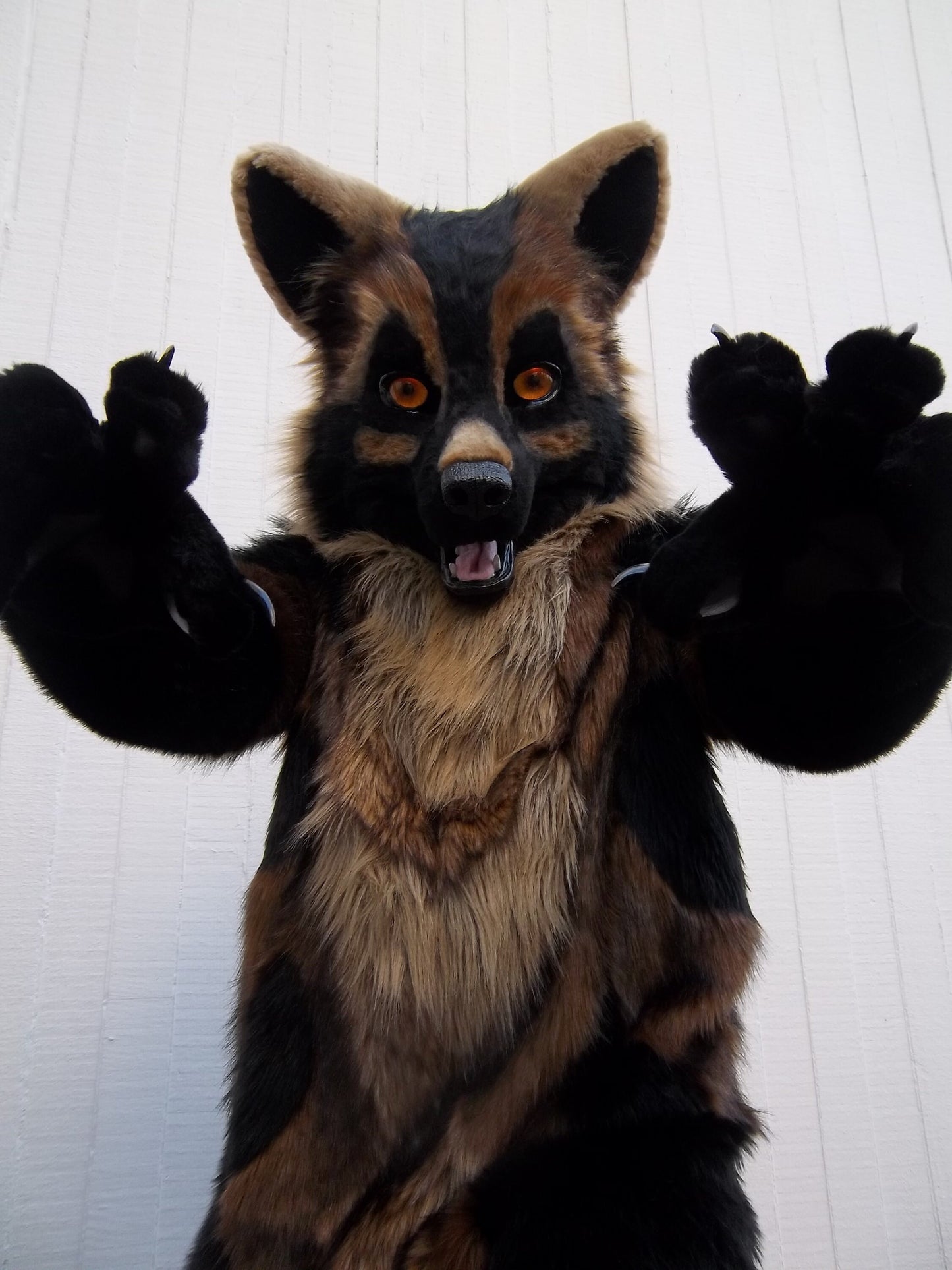 Realistic Canine Resin Mask MOLD (not a base)