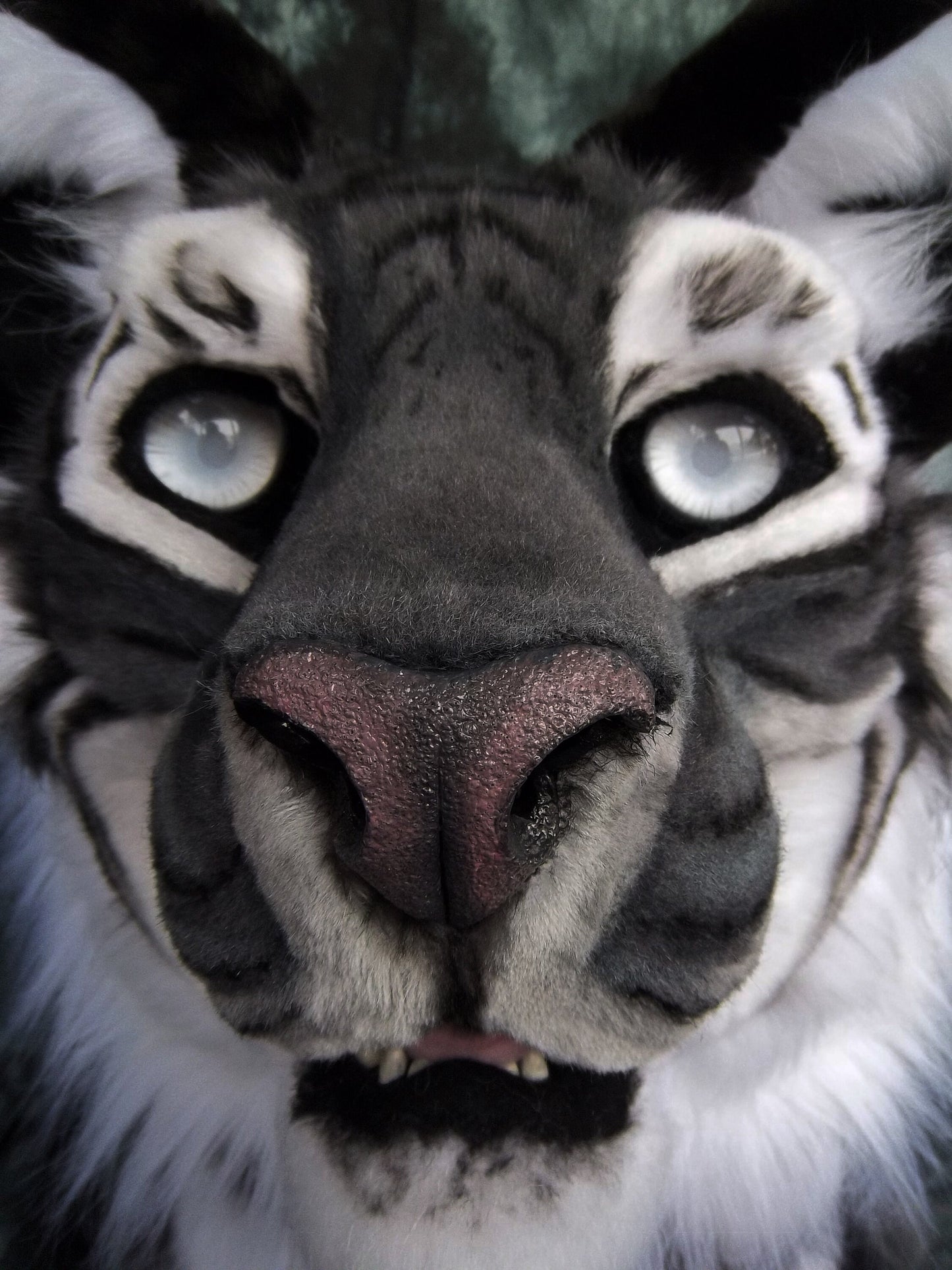 Semi Realistic Feline Mask Blanks (Jawset available), Fursuit Head Base Costume Mask Larp Fest