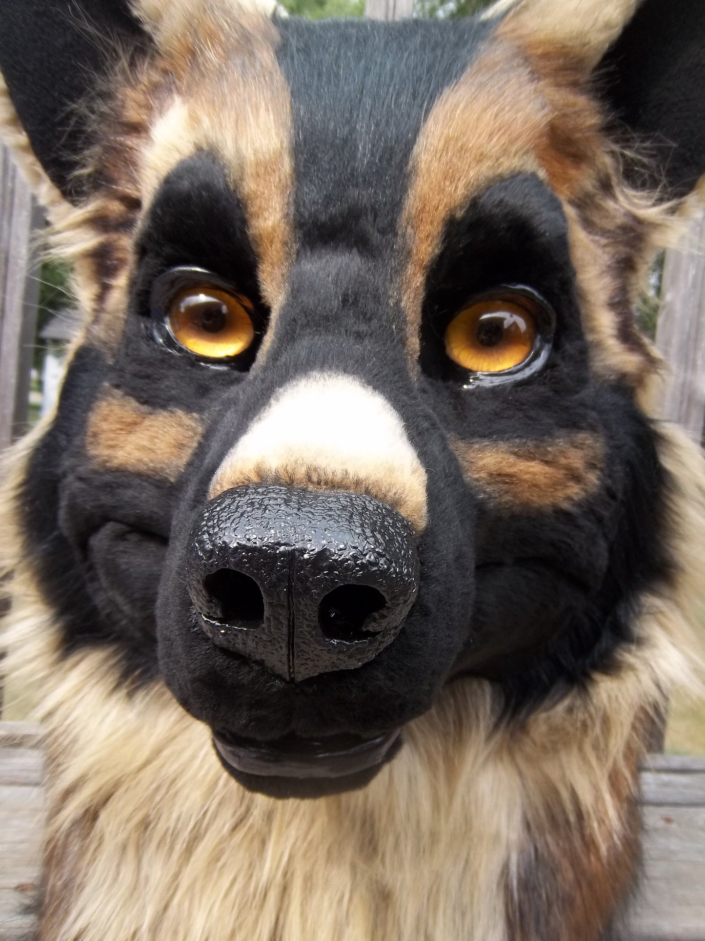 Realistic Canine Resin Mask MOLD (not a base)
