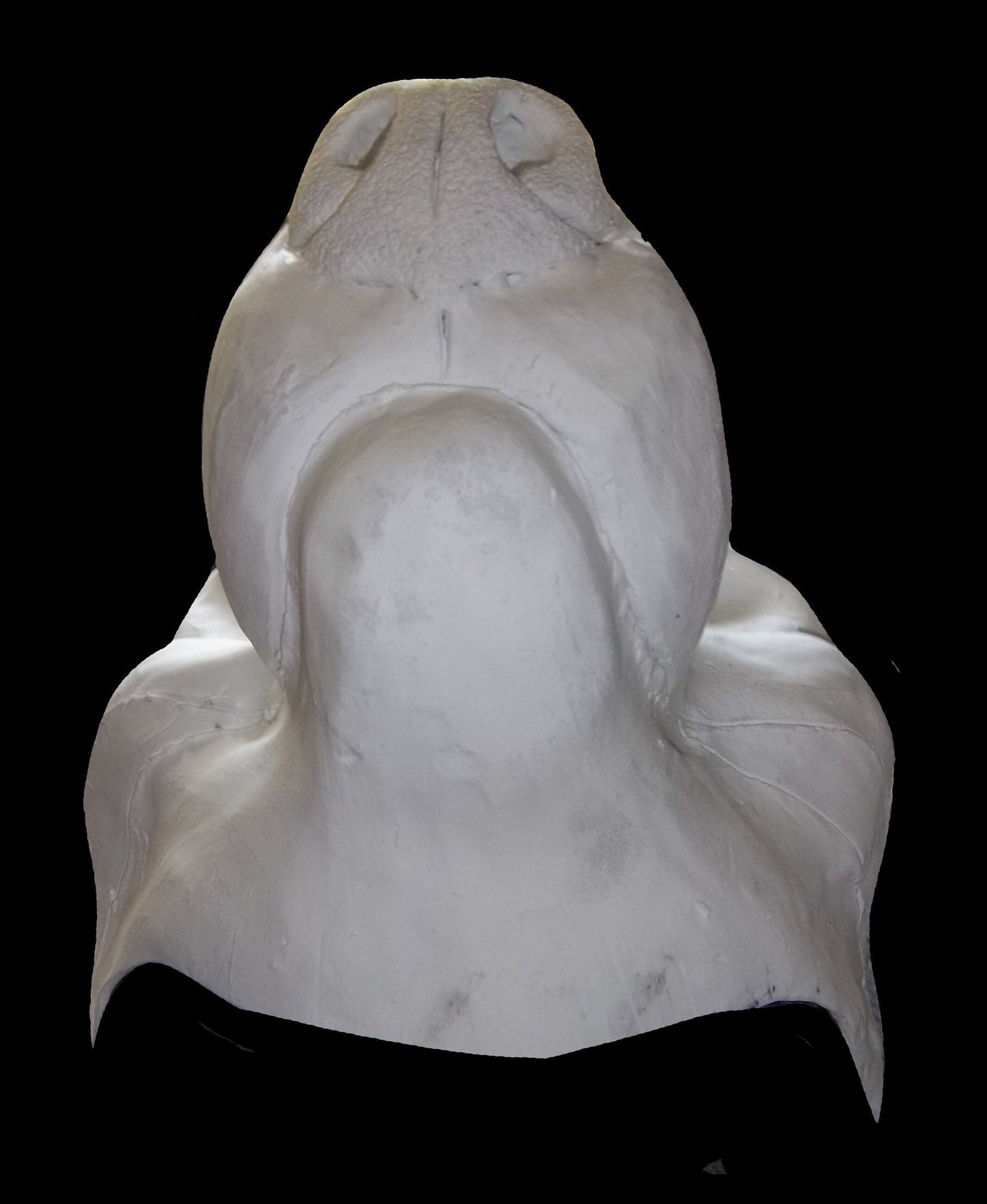 Semi Realistic Canine Mask Blanks (Jawsets available), Fursuit Head Resin Base K9