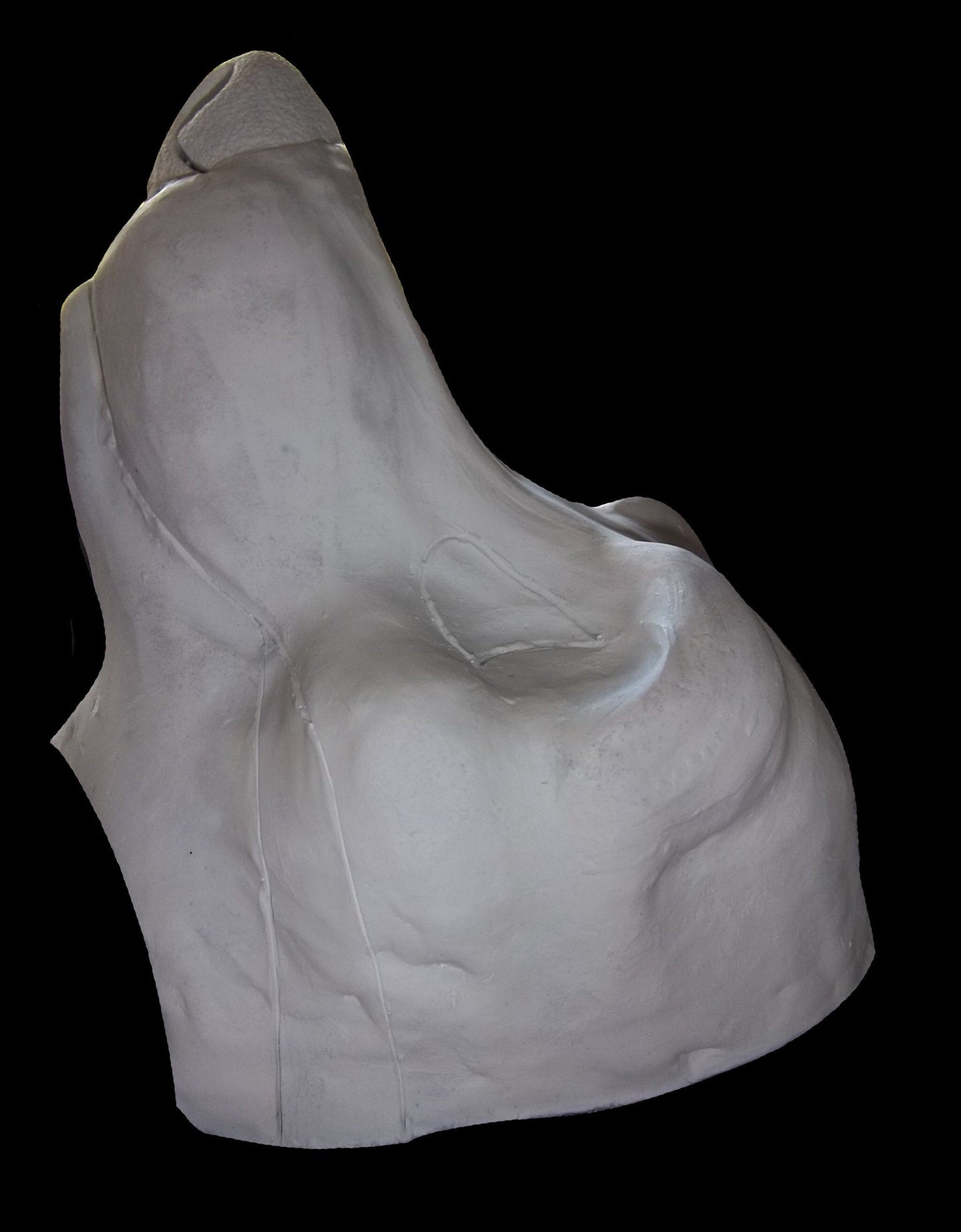 Semi Realistic Canine Mask Blanks (Jawsets available), Fursuit Head Resin Base K9