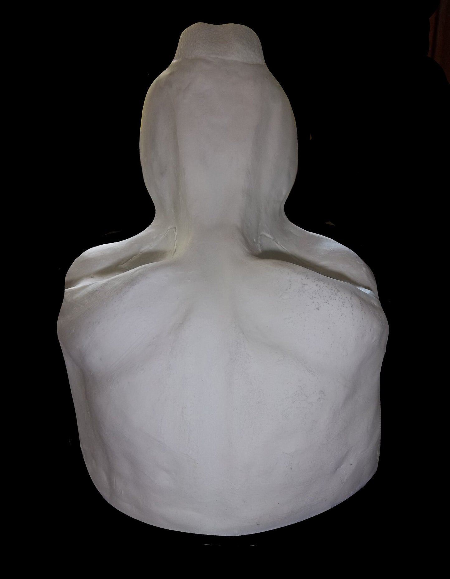 Semi Realistic Canine Mask Blanks (Jawsets available), Fursuit Head Resin Base K9