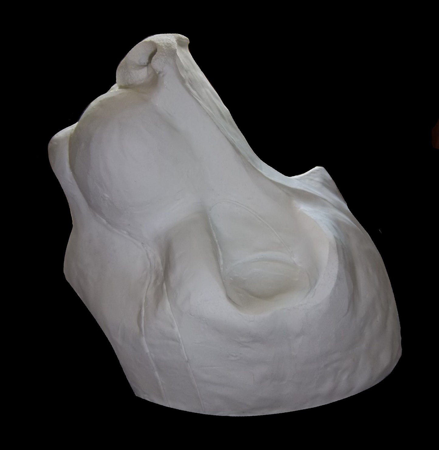 Semi Realistic Feline Mask Blanks (Jawset available), Fursuit Head Base Costume Mask Larp Fest