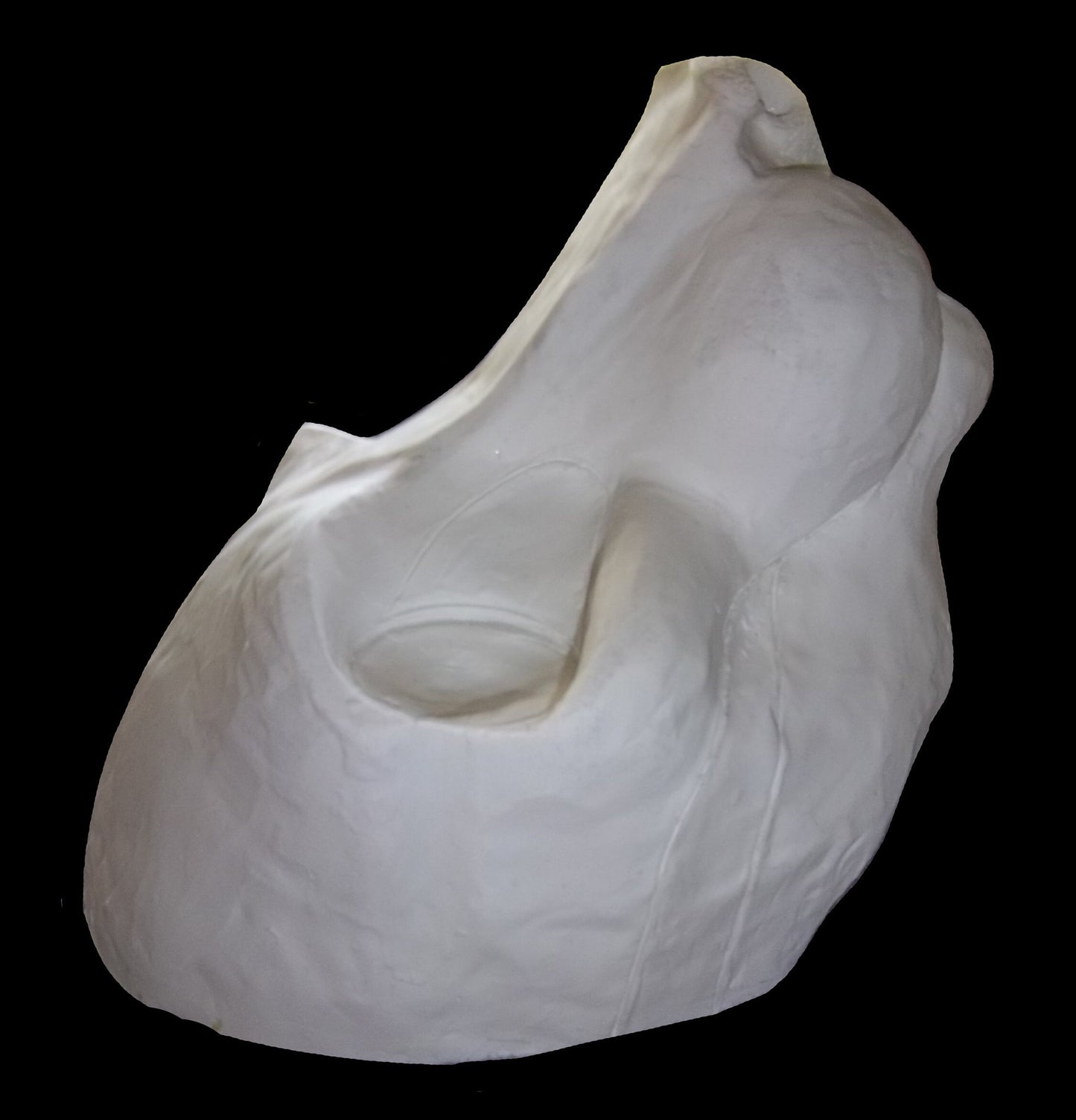 Semi Realistic Feline Mask Blanks (Jawset available), Fursuit Head Base Costume Mask Larp Fest