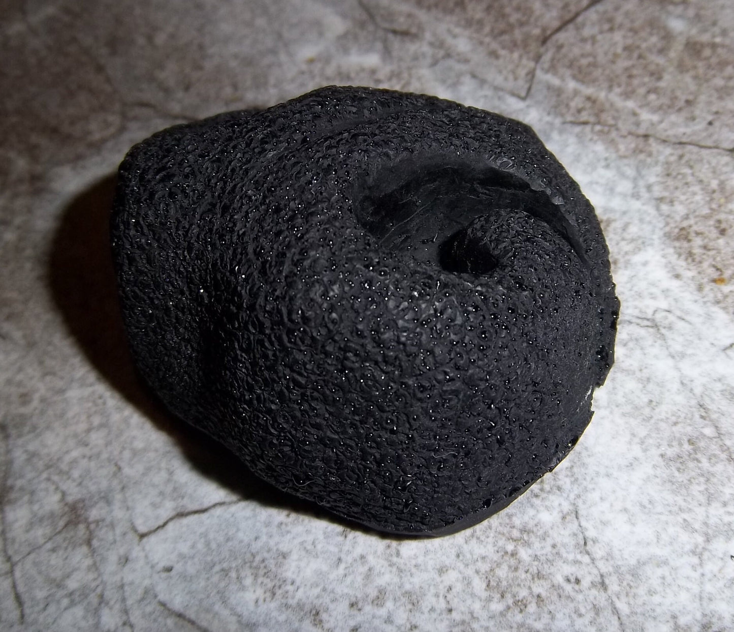 Resin Realistic Canine Nose PREMADE READY to SHIP! - Black / White Mix Fursuit Head Part Hand Cast Solid K9 Large Prop Cosplay Halloween