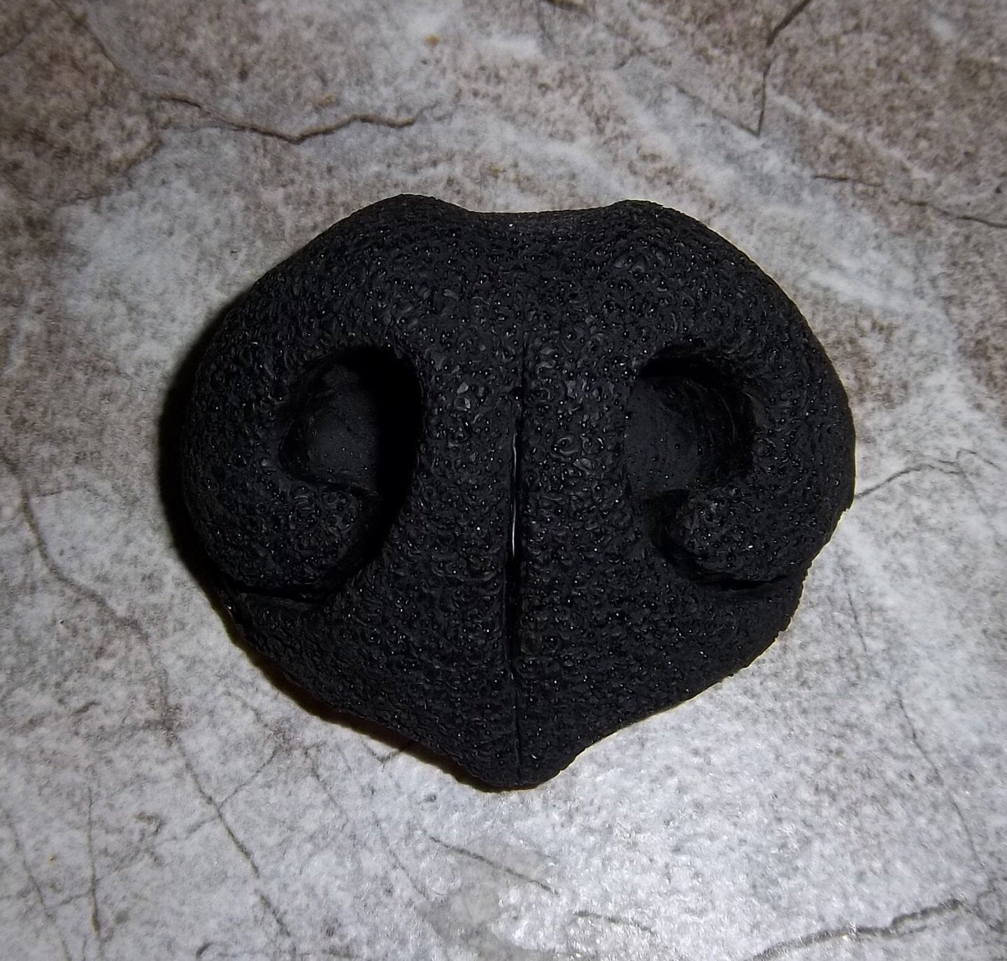 Resin Realistic Canine Nose PREMADE READY to SHIP! - Black / White Mix Fursuit Head Part Hand Cast Solid K9 Large Prop Cosplay Halloween