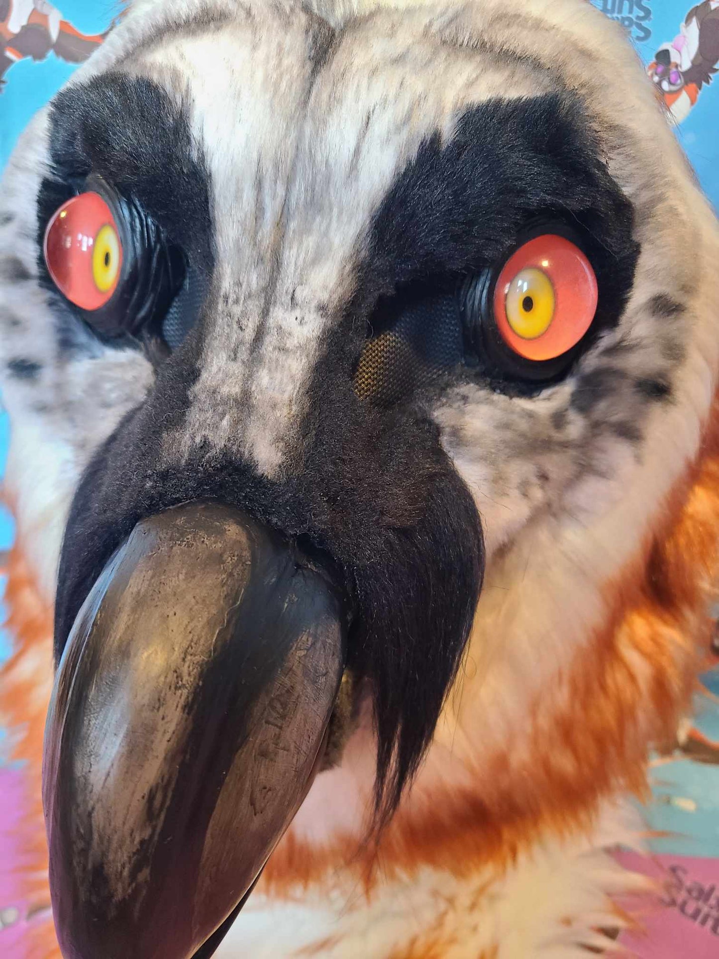 Bearded Vulture Fursuit Head