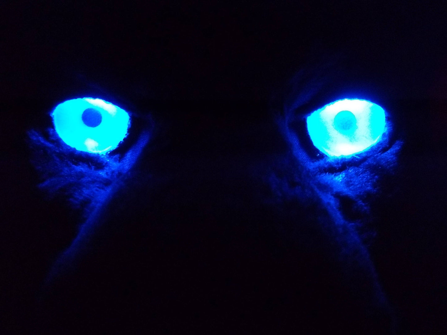 PREMADE LEDs with AA Battery Pack, For Fursuit, Crafts Etc. for jewelry, costumes, Furry costumes