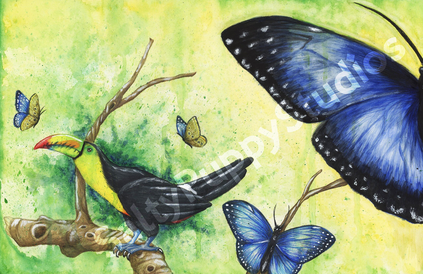 Keel Billed Toucan and Emperor Butterfly Watercolor Mixed Media Print 11 x 17 Fine Art Hand Signed